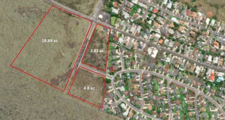 Ane Keohokālole Highway corridor illustration from the original article