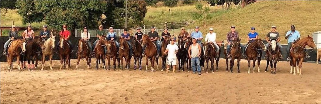 Riders and horses in an arena in Hawaiʻi